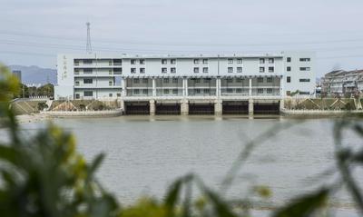 苍南县龙港西北塘朱家站水闸除险加固工程