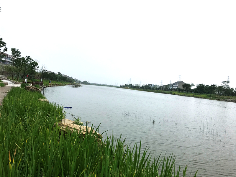 椒江洪家场浦图片